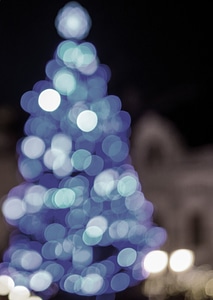 Christmas tree decoration light photo