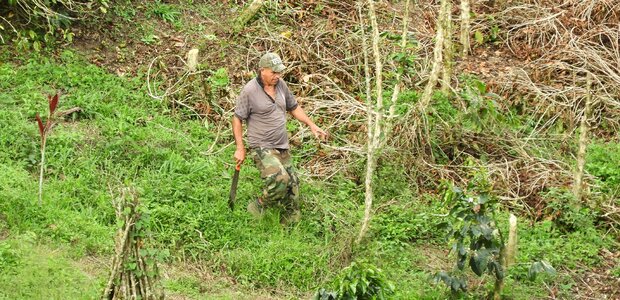 Outdoors peasant worker