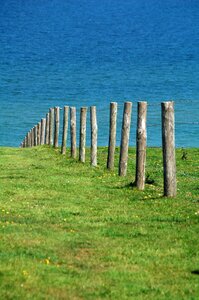 Green sea water