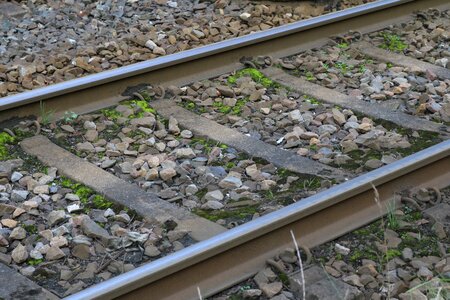 Race track train s bahn photo