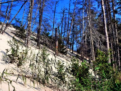 Landscape season sand