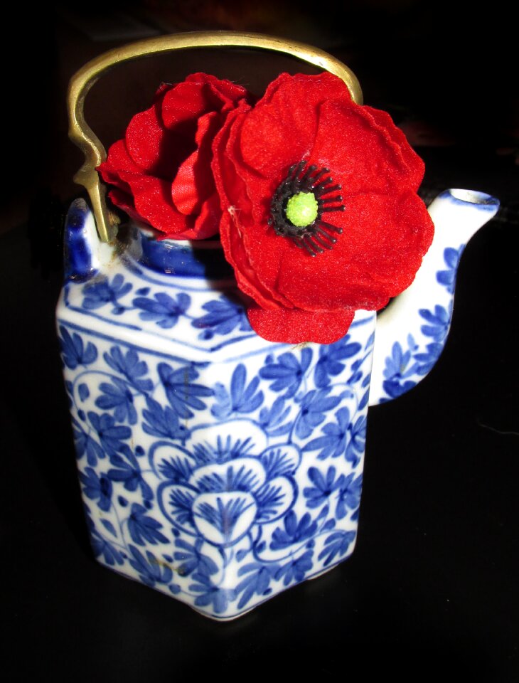 Poppy teapot china