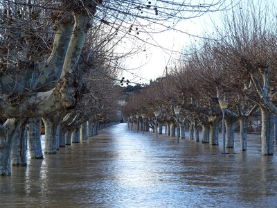 Water ebro grown photo