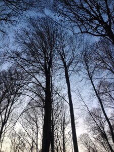 Winter landscape panoramic photo