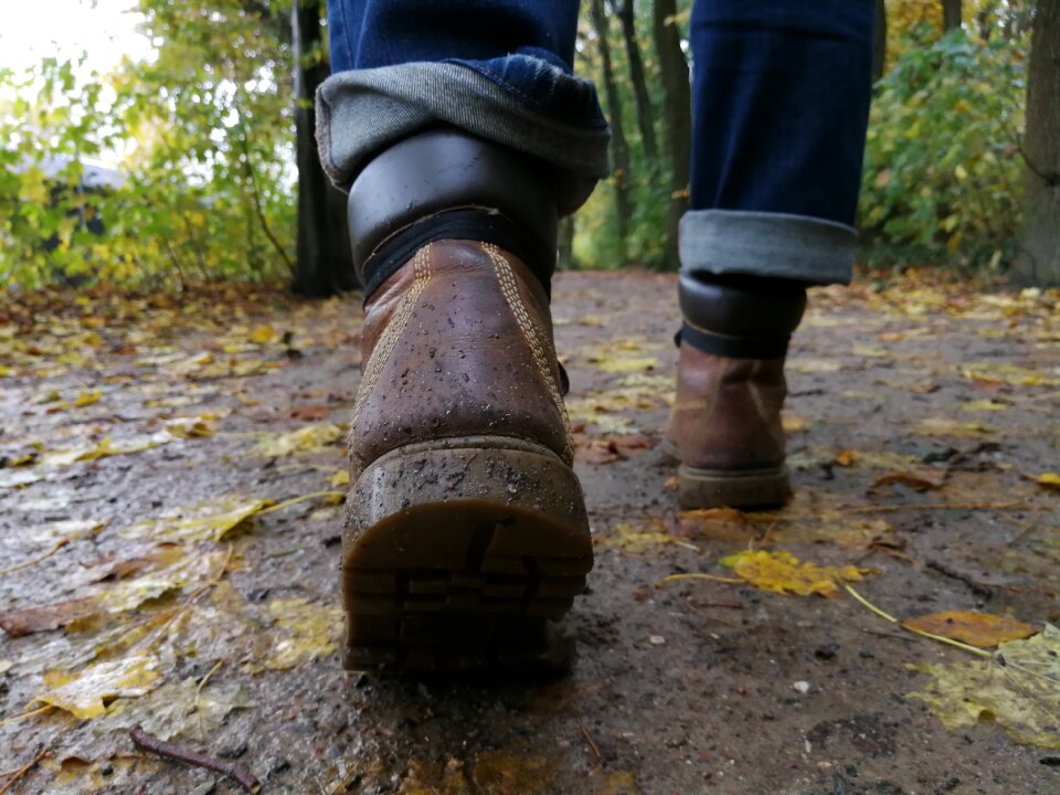 Autumn leaves nature