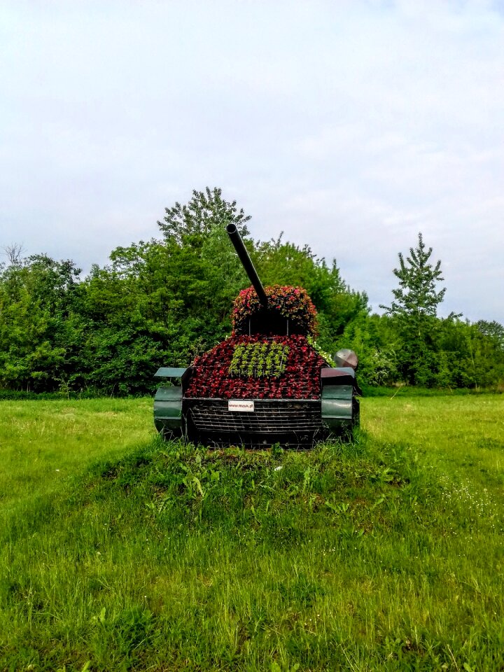 At the court of field no one