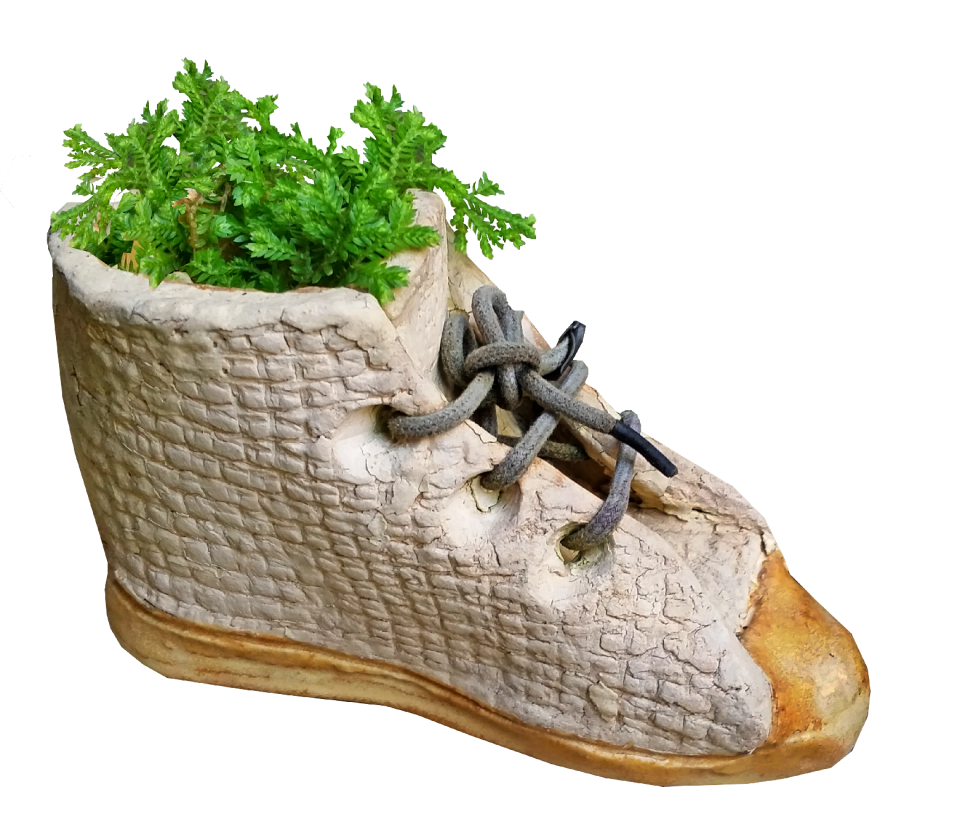 Planter growing garden