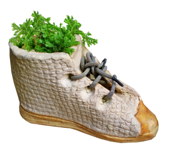 Planter growing garden