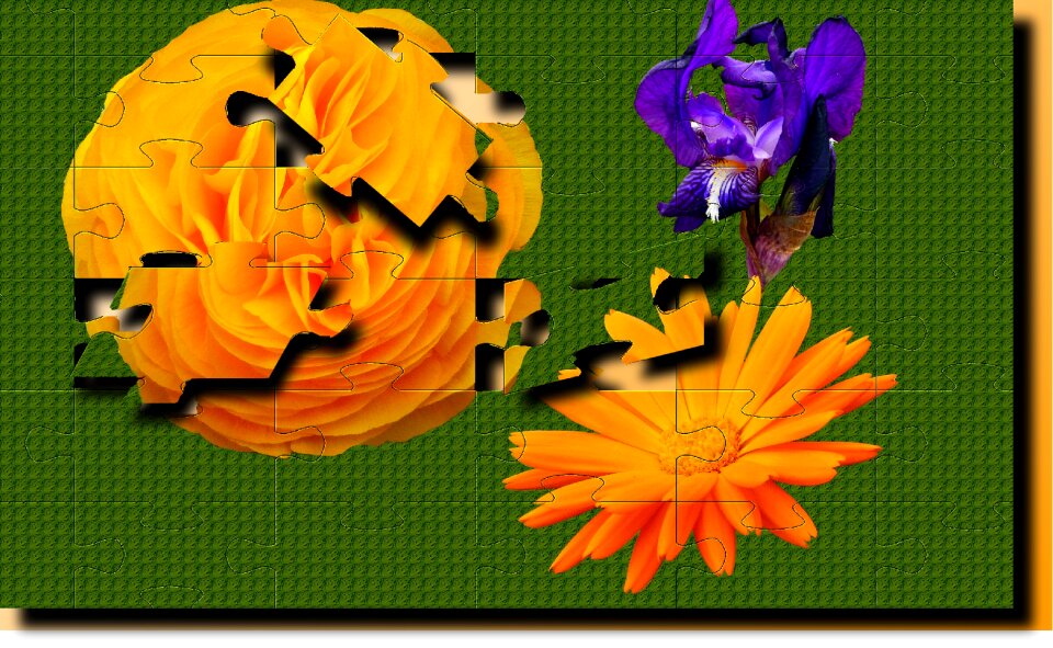 Wallpaper geometry no person