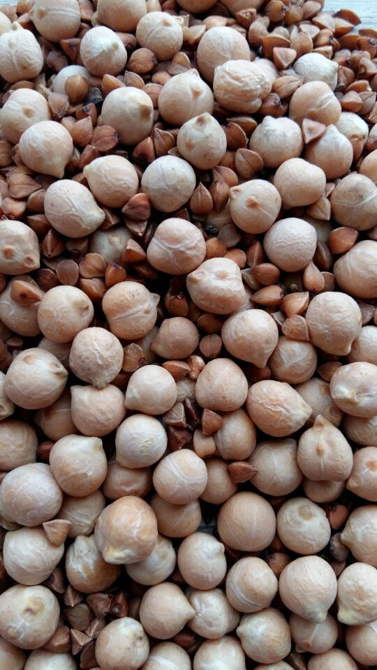 Batch nutrition protein