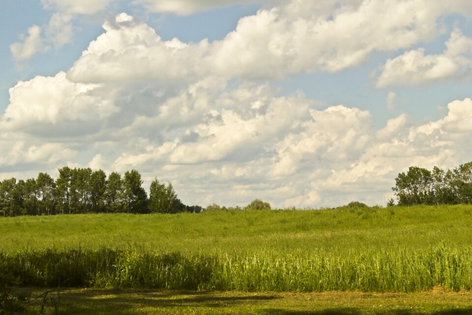 Field rural summer photo