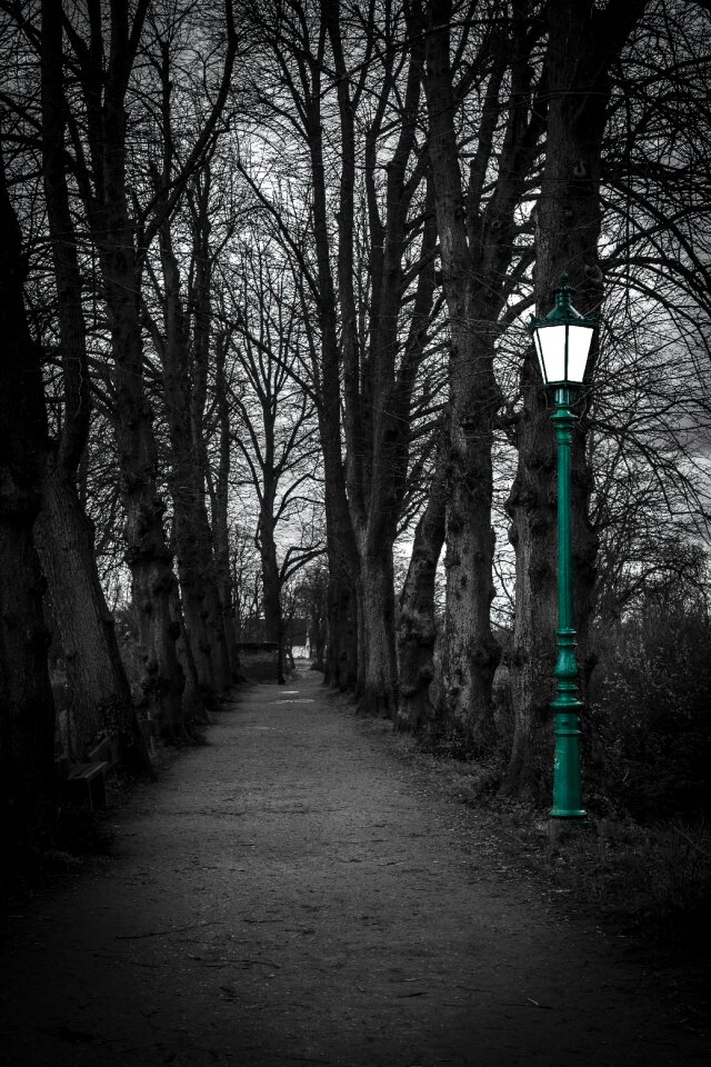 Away avenue gloomy