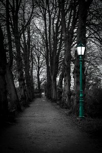 Away avenue gloomy