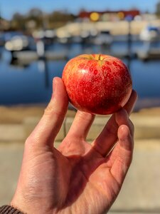 Health apple nature