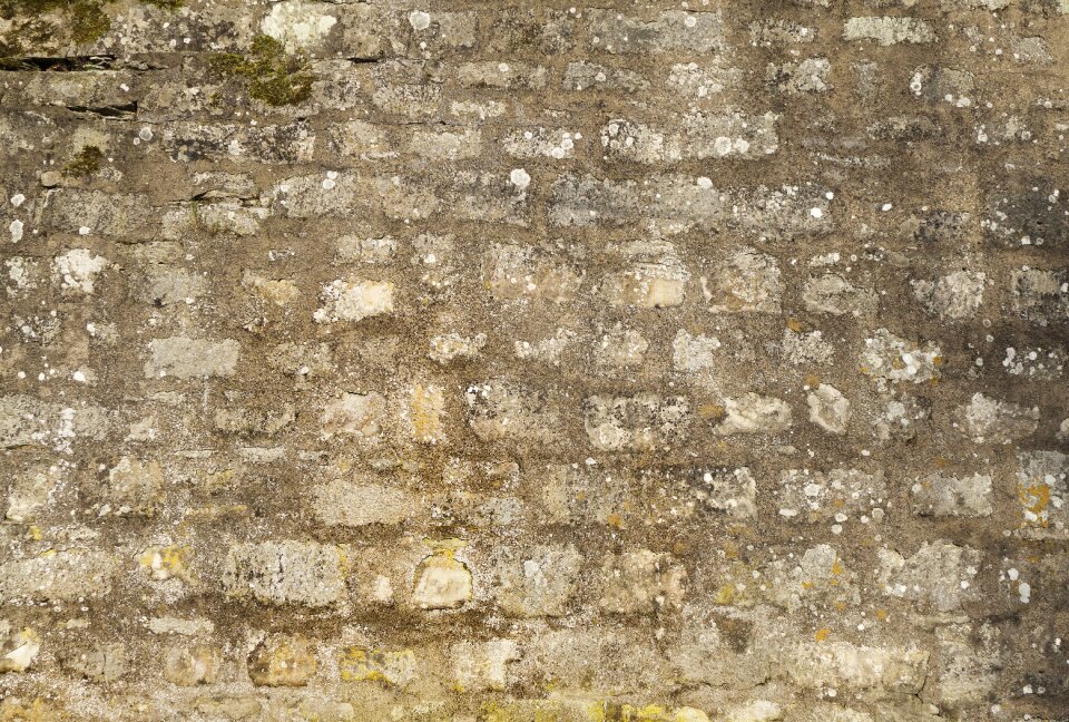 Joints historically texture