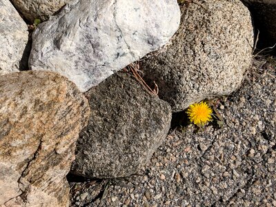 Rock desktop
