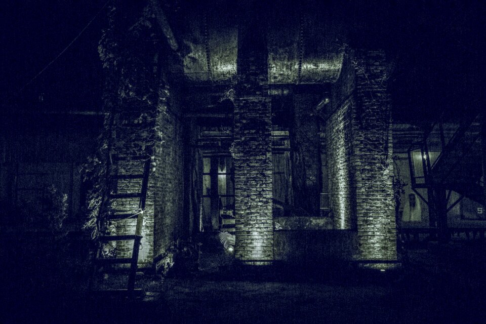 Mystery black and white ghost