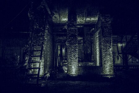 Mystery black and white ghost