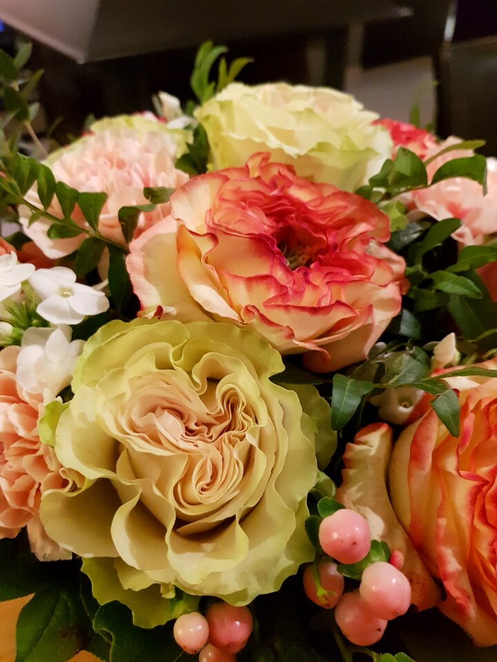 Rosebush flower wedding