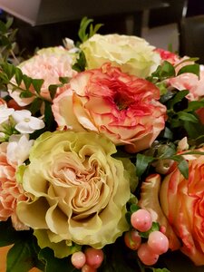 Rosebush flower wedding