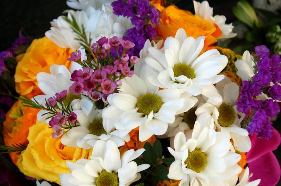 Nature color bouquet de fleurs photo