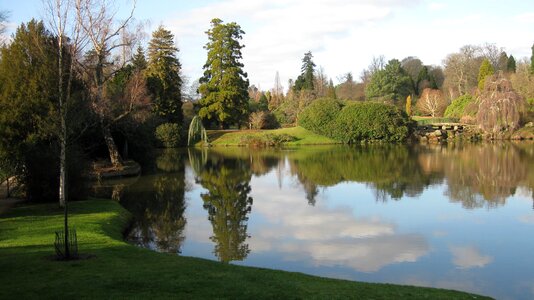 Tree reflection sussex photo