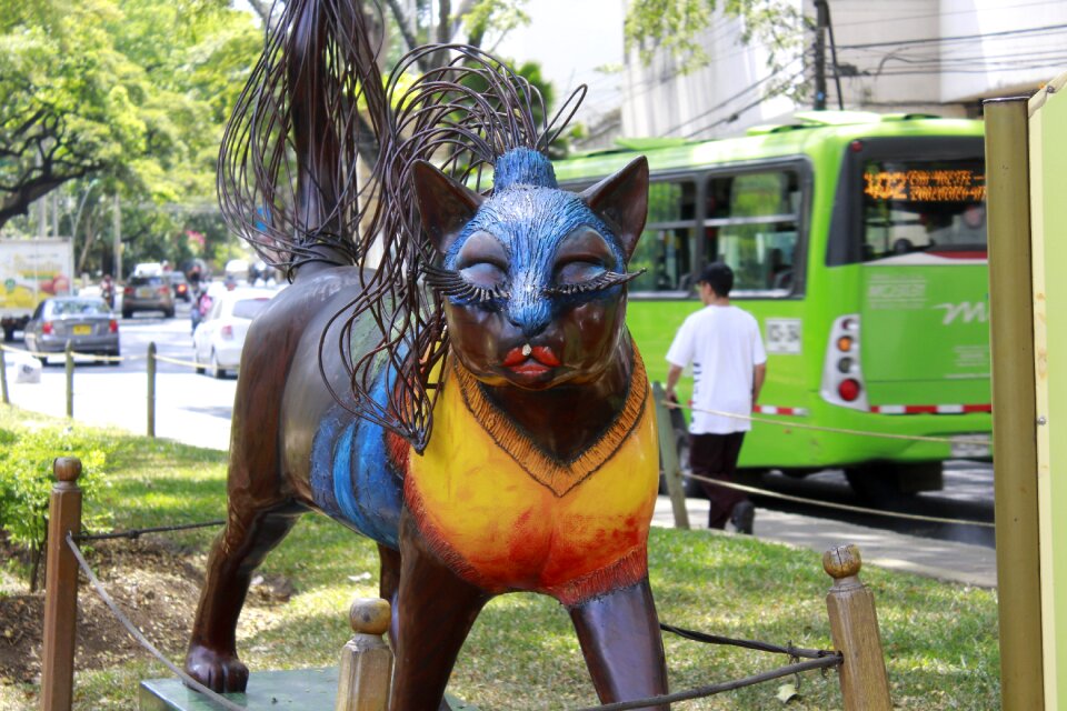Park colombia feline