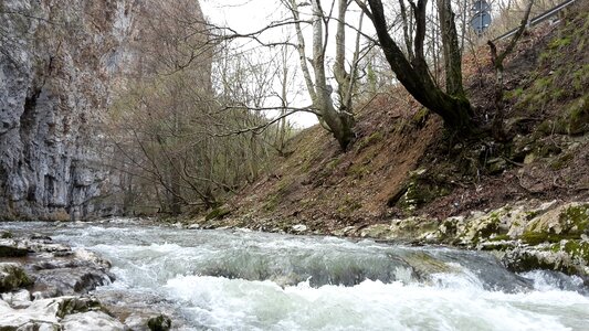 Caras severin nature landscape