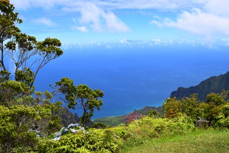 Kalalau lookout kauai Free photos