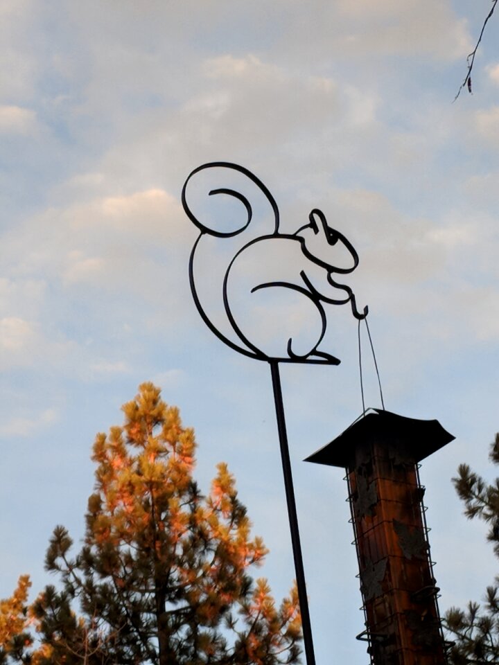 Bird feeder squirrel