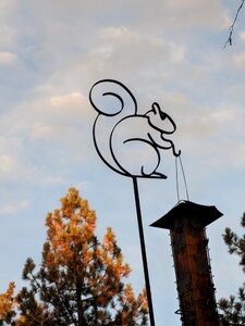 Bird feeder squirrel