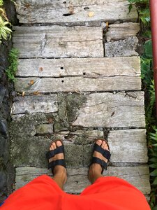 Stone human summer