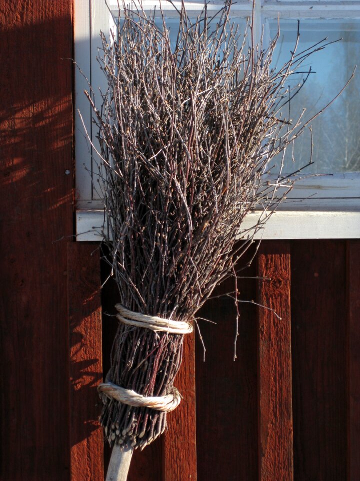 Nature branches cutoffs tree