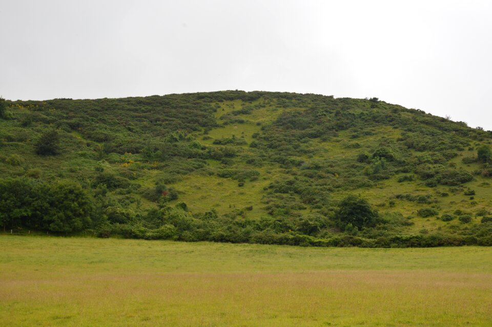 Nature widescreen lawn