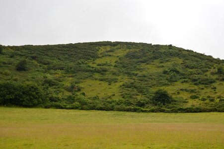 Nature widescreen lawn