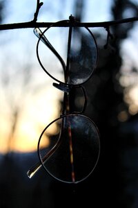 Forest lenses sun