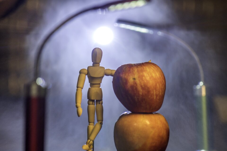 Apple light still life