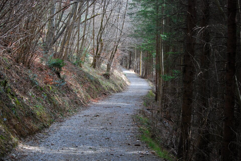 Road landscape environment