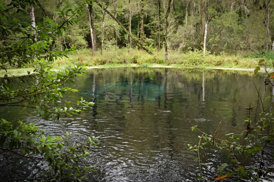 Wood reflection stream