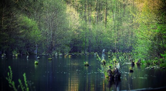 River lake pond photo