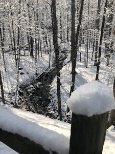 Wood cold