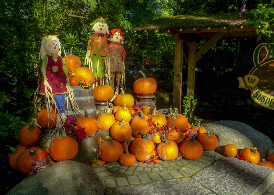 Fall season harvest