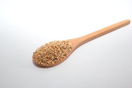 Food sesame spoon