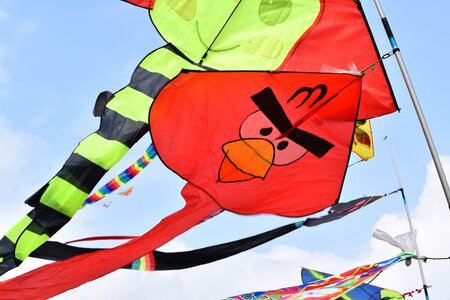 Color wind kite photo