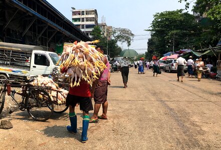 Road market carrying photo