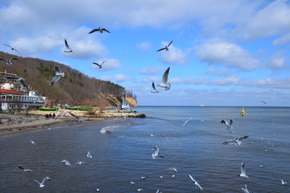 Beach ocean nature