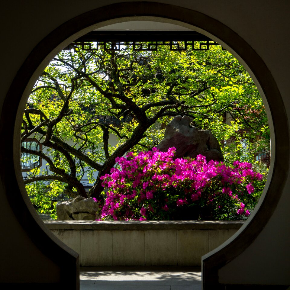 Gallery landscape building