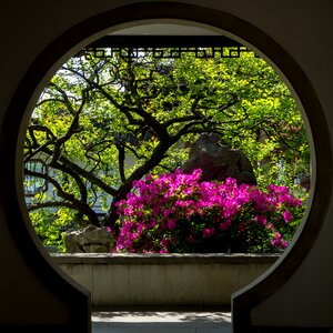 Gallery landscape building