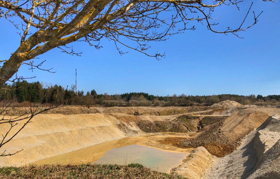 Tree sand machine