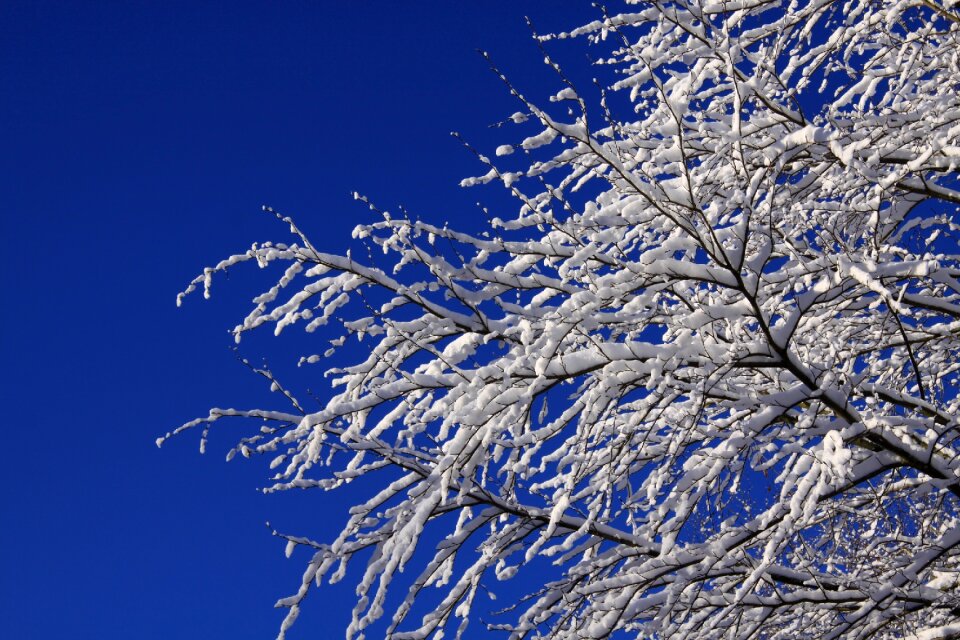 Sky frost no person